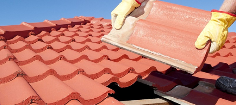 Signs You May Need Roof Repairs & Tips for Effective Repair Work