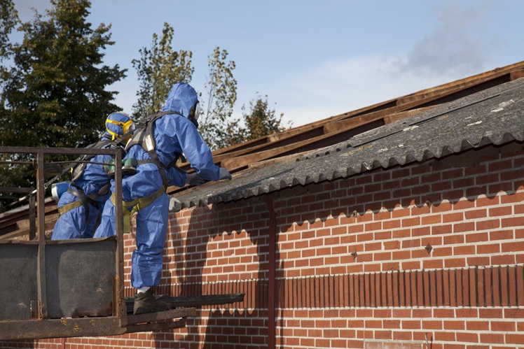 An Info on What to Expect During Asbestos Inspection