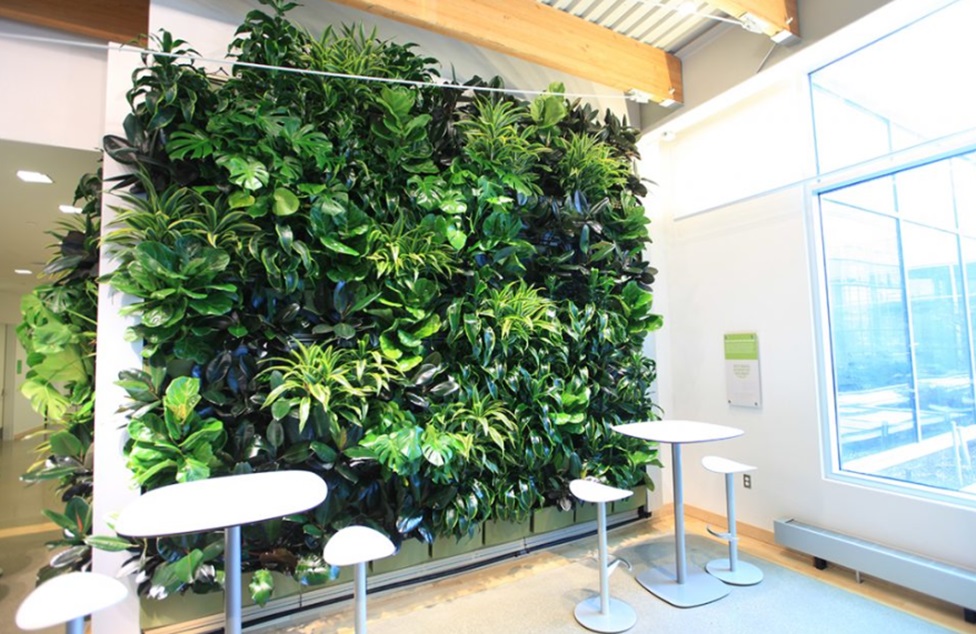 Vertical Gardens: The Beauty and Functionality of Green Walls